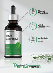 2 oz | Vegan, Non-GMO, and Gluten Free – Horbäach Liquid Chlorophyll Drops