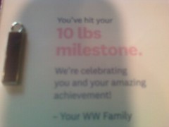 Weight Watchers WW 10 Pound Freestyle Purple Charm Plus Random Recipe Cards.