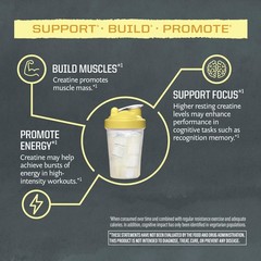 Sunwarrior Lemonade Active Creatine Stick Pack 30ct, 0.24 Ounce (Pack of 30)