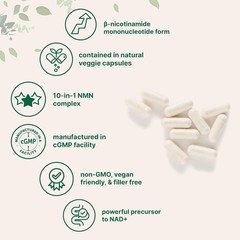 NMN Complex 1,000mg – 120 Caps | 10-in-1 NAD+ Booster with Resveratrol, CoQ10 &