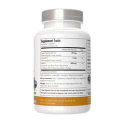 Lutein 40mg with Zeaxanthin Bilberry 400mg Eye Health Support Supplement, 240Cap