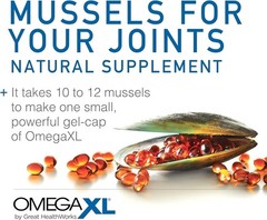 3Pack XL 120 Capsules-Green Lipped Mussel O-3 Joint Relief Supplement