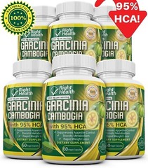 6 X BOTTLES 360 Capsules 3000mg Daily GARCINIA CAMBOGIA HCA 95% Weight Loss Diet