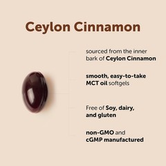 Ceylon Cinnamon Softgels, 300 Count – Infused with MCT Oil for Wellness