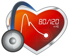lower blood pressure naturally – Hawthorn Extract 665mg – heart health pills 1B