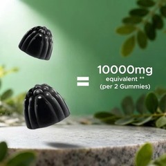 NEW Vitamatic Sugar Free Moringa Gummies 10000mg 60 Pectin Based Gummies