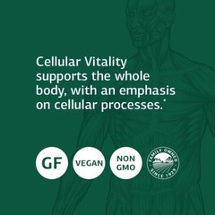 Standard Process Cellular Vitality Supports Cellular Processes, 90 Capsules