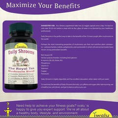 Birch Chaga | Best Supplement Capsule Pill Men Women FREE SHIP