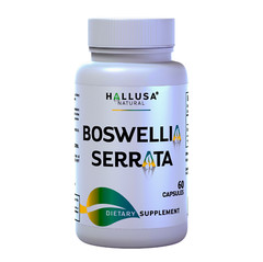 BOSWELLIA SERRATA – Joint Support & Muscle Relief – Support Mobility 60 Cap