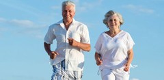 Antioxidant Herbal Protection – PROSTATE HEALTH – Holistic Nutritional 2Bot