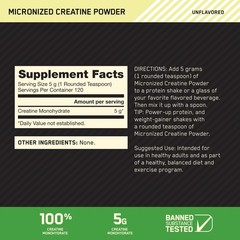 Micronized Creatine Monohydrate Powder – Supports Strength & Recovery, 120 Servi