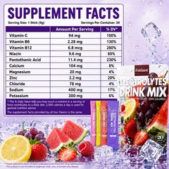 Electrolytes Powder Hydration Packets | Sugar Free Recovery Electrolyte Drink US