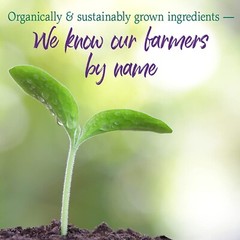 Garden of Life Raw Organic Perfect Food Alkalizer & Detoxifier Juiced Greens …
