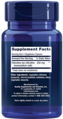 CITICOLINE (CDP-Choline) BRAIN COGNITIVE MEMORY FOCUS 120 Caps LIFE EXTENSION