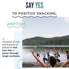 The YES Bar – Dark Chocolate Chip – Plant Based Protein, 24 Count (Pack of 1)
