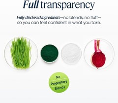 Green Vibrance Superfood Powder 15 Servings 25 Billion Probiotics Vibrant Health
