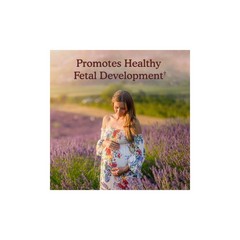 Garden of Life Organic Vegan Prenatal Daily Multivitamin Tablets – 30ct