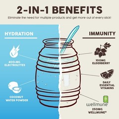 Salud 2-in-1 Hydration Packets + Immunity Electrolytes Powder, Horchata – Agu…