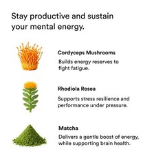 Nootropic Energy & Focus Shots – Lion’s Mane, Ashwagandha, Citicoline, 15 Pack