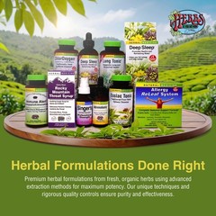 Chlorophyll Concentrate Liquid Drops – Alcohol Free, Detox, Skin & Gut Support –