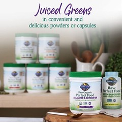 Garden of Life Raw Organic Perfect Food Alkalizer & Detoxifier Juiced Greens …