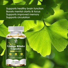 Ginkgo Biloba Capsules, Supports Brain Function & Memory, Healthy Circulation~