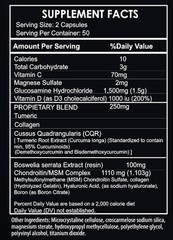 2 Pack Glucosamine Chondroitin MSM Turmeric – Joint Health Supplement – 200 Caps