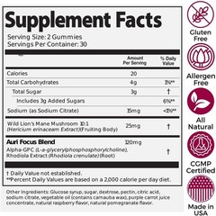 New Mushroom Focus Gummies Lion’s Mane Alpha GPC Rhodiola 60 Vegan Gummies