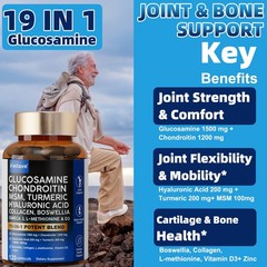2 Pack Glucosamine Chondroitin Turmeric MSM Triple Strength Joint Support 240ct