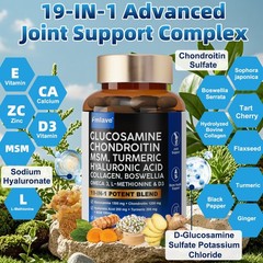 Glucosamine Chondroitin Collagen Hyaluronic Acid MSM Turmeric Joint Support 120c