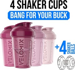 Leak Proof Protein Shaker Bottle Blender Cup Wire Whisk Gym Workout Mixer