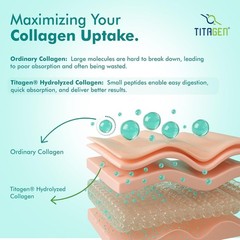 5 Pack Dr. M.orepen Marine Collagen Supplement 250g