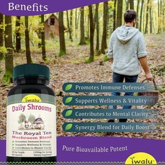 Birch Chaga | Best Supplement Capsule Pill Men Women FREE SHIP