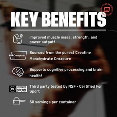 Creatine Monohydrate Unflavored 5g 60 Servings BPN Creapure NSF Certified New