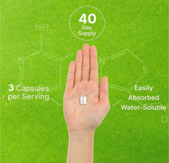Citicoline CDP Choline 1000mg 120 Caps supports Brain Cognitive Function