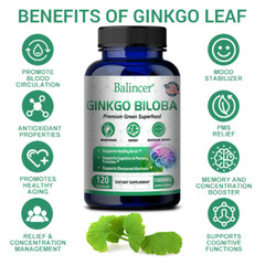 Ginkgo biloba capsule 1000 mg Memory Cognitive function Blood circulation
