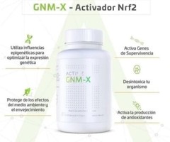ACTIVZ GNM-X ( 30 CAPS ) GNMX Nrf2 Activating Supplement. FREE SAME DAY SHIPPING
