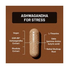 NatureWise Ashwagandha for Stress – With KSM-66 Extract, GABA, … FAST USA SHIP
