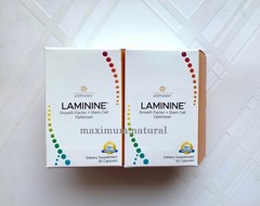 2 bottles of Laminine supplement 30 caps.each. LifePharm Global.
