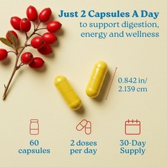 Swiss Activa Organic Berberine 7-in-1 Supplement with Bioperine & More – 60ct.