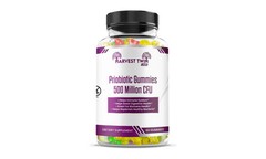 Probiotic Gummies — Digestive & Immune Support, 500 Million CFU, 60 Ct