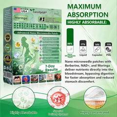 CareUplift Berberine Moringa Metabolic Patch | Nano Microneedle | 7-Day Results