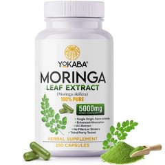 250 Capsules Moringa Oleifera Leaf Powder 5000mg – Organic Herbal Extract YOKABA