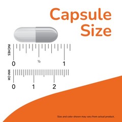 Vegan Dmae Capsules 250Mg 100 Count Supports Healthy Brain Function Non Gmo