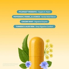 Snap Gut Health Capsules Turmeric Aloe Pylopass Probiotics 15 Active Ingredients