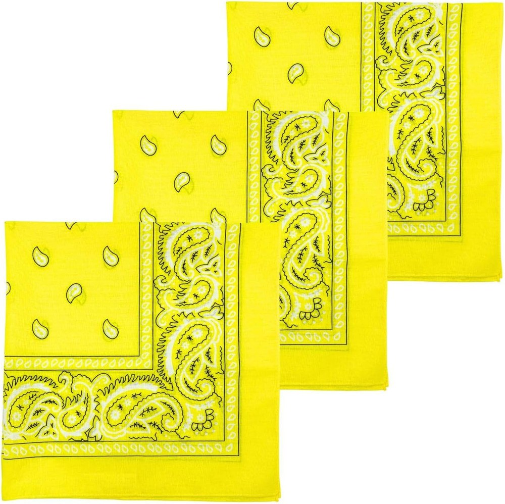 3 Pack Extra Large Bandanas 27” x 27” 100% Cotton for Men & Women Paisley Handke