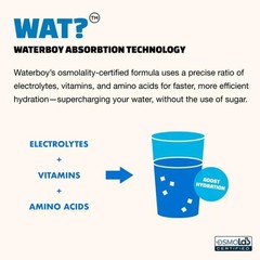 Waterboy Weekend Recovery Electrolyte Powder – 12 Stick Packs x 2 (Strawberry L)