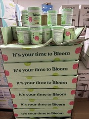 2 PACK Bloom Nutrition Greens & Superfoods Powder 10.24 Oz Strawberry Kiwi 09/26