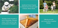 ApisBrasil – Brazilian Green Bee Propolis Capsule – 900mg/ Daily Per 3 Softgels