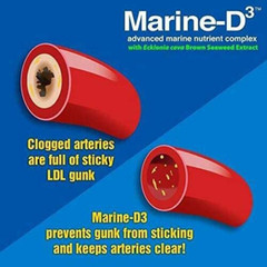 Marine Essentials | Marine-D3 | Anti-Aging | Omega-3 | 6 Bottles (360 Capsules)